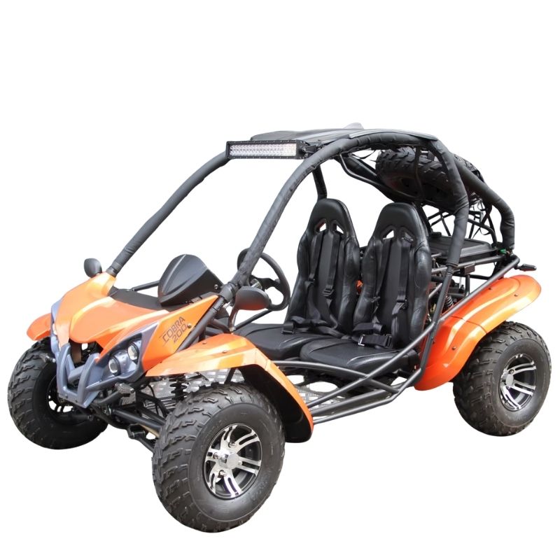 RPS GO-KART Cobra 200cc